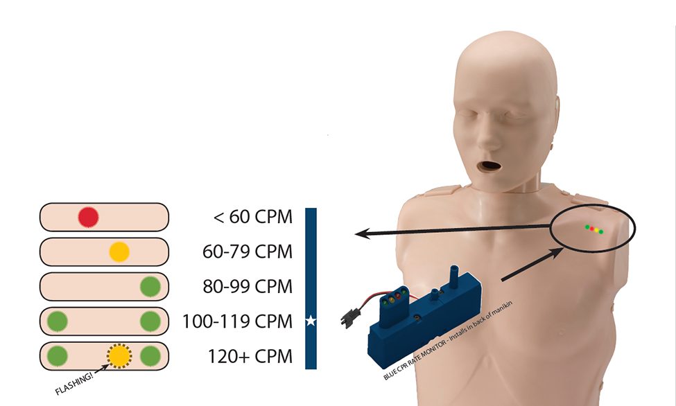 Prestan-Adult-CPR-AED-Training-Manikin-with-CPR-Monitor-Alternate-3-15621191-400_300